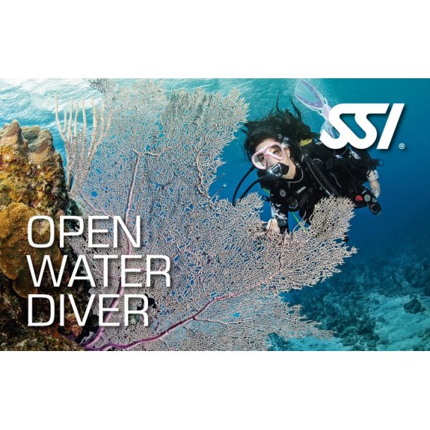 Open Water Begynderkursus inklusiv marinbiologi