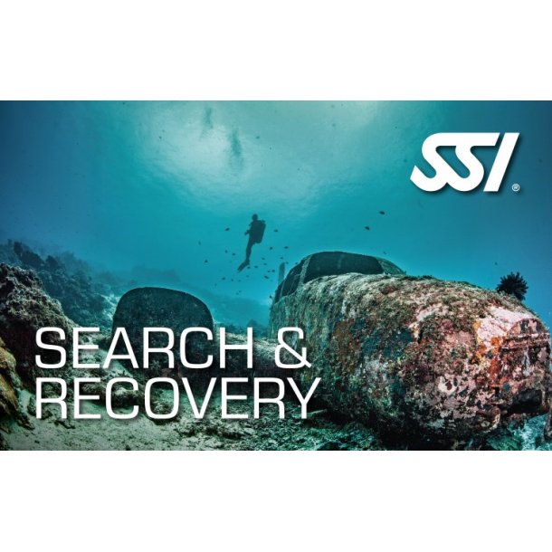 SSI Search &amp; Recovery