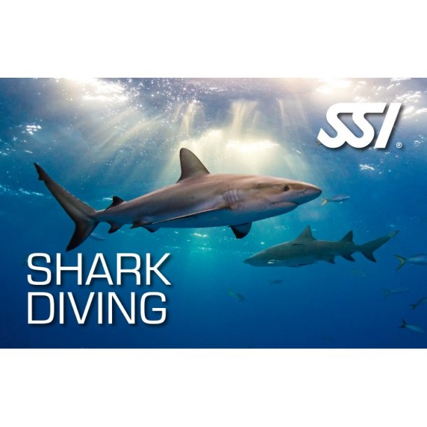 Shark Diving