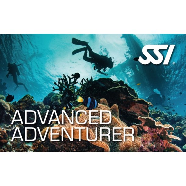 SSI Advanced Adventure