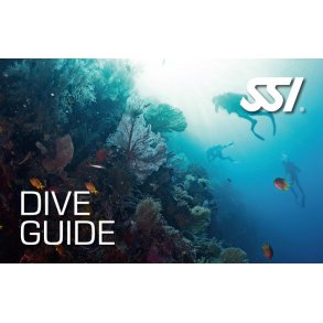 Dive Guide