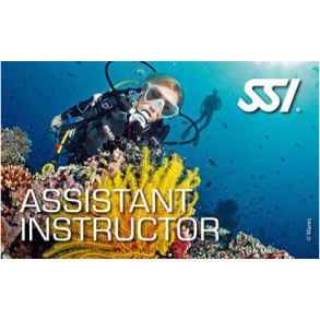 AI Assistant Instructor