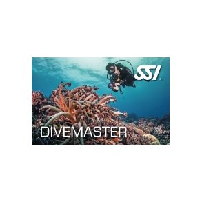 Dive Master