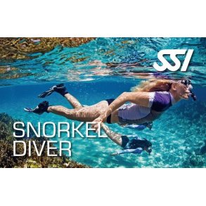 Snorkel Diver