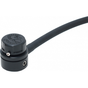 Ursuit P-valve